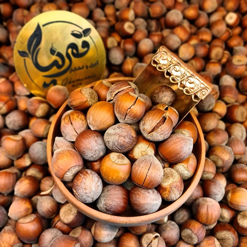 فندق ایرانی خام پوست دار(شکاف دار)