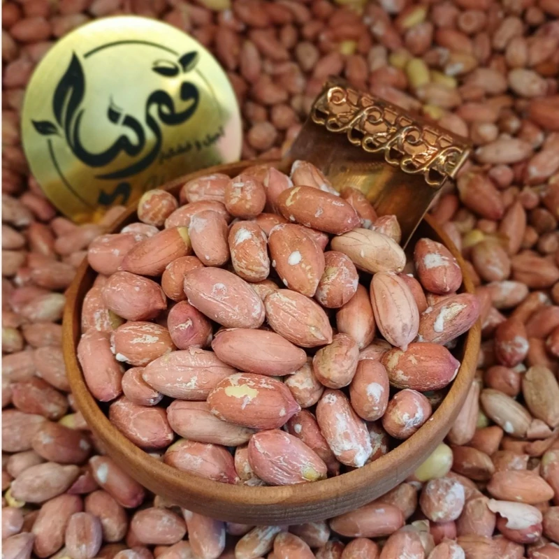 بـادام زمـیـنی آستـانـه  امسالی