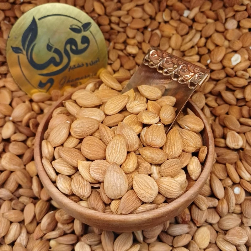 مغز هـسته زردآلوی خـام (دستچین شده)