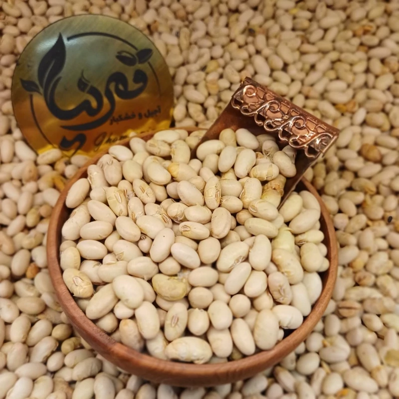سـویا آجیـلی نمکی